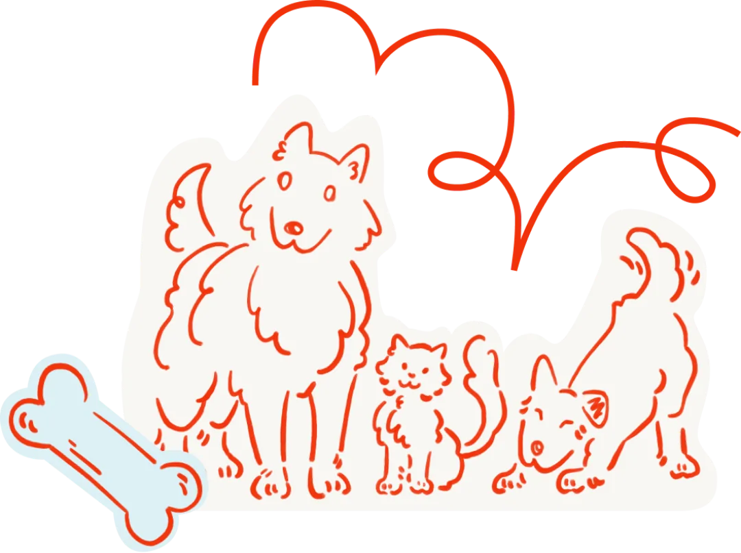 A playful line drawing of two dogs and a cat with a large bone and red squiggly lines above them.